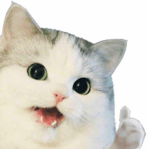 壕 - 