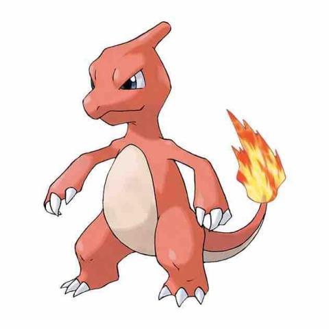 Charmander - 火恐龍