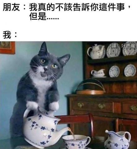系統櫃廠商推薦測試新手方案申請退還後被僱用，能否退還成功